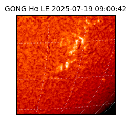 gong - 2025-07-19T09:00:42