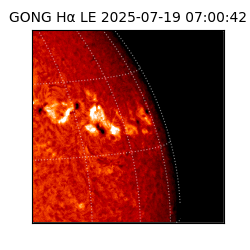 gong - 2025-07-19T07:00:42
