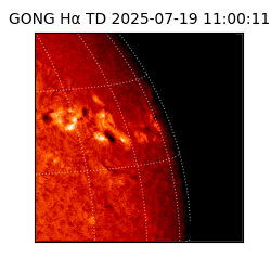 gong - 2025-07-19T11:00:11