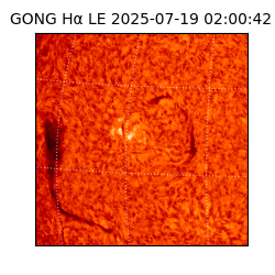gong - 2025-07-19T02:00:42