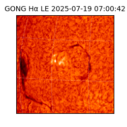 gong - 2025-07-19T07:00:42