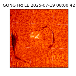 gong - 2025-07-19T08:00:42