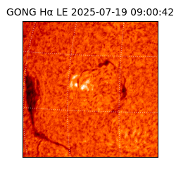 gong - 2025-07-19T09:00:42