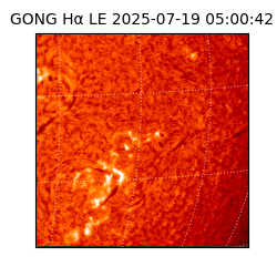 gong - 2025-07-19T05:00:42