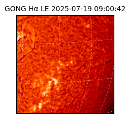 gong - 2025-07-19T09:00:42