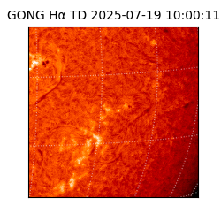 gong - 2025-07-19T10:00:11