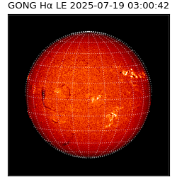 gong - 2025-07-19T03:00:42