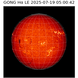 gong - 2025-07-19T05:00:42