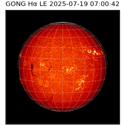 gong - 2025-07-19T07:00:42