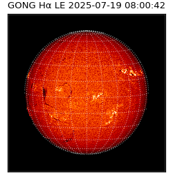 gong - 2025-07-19T08:00:42