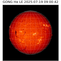 gong - 2025-07-19T09:00:42