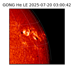 gong - 2025-07-20T03:00:42