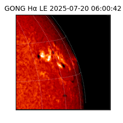 gong - 2025-07-20T06:00:42