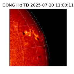 gong - 2025-07-20T11:00:11