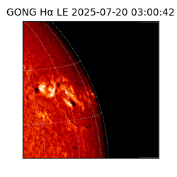gong - 2025-07-20T03:00:42