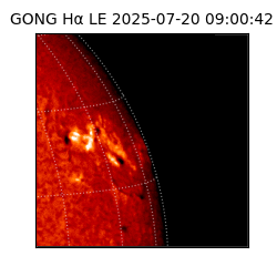 gong - 2025-07-20T09:00:42