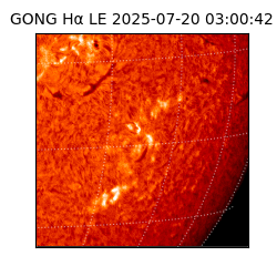 gong - 2025-07-20T03:00:42