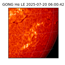 gong - 2025-07-20T06:00:42