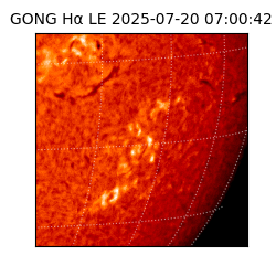 gong - 2025-07-20T07:00:42