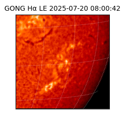 gong - 2025-07-20T08:00:42