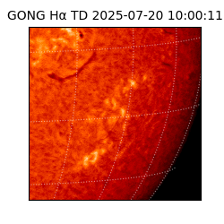 gong - 2025-07-20T10:00:11