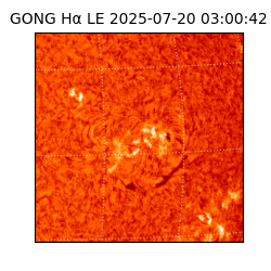 gong - 2025-07-20T03:00:42
