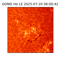 gong - 2025-07-20T06:00:42