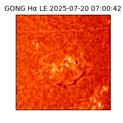 gong - 2025-07-20T07:00:42
