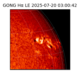 gong - 2025-07-20T03:00:42