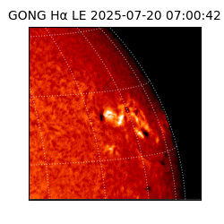 gong - 2025-07-20T07:00:42
