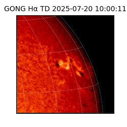 gong - 2025-07-20T10:00:11