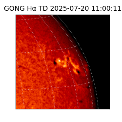 gong - 2025-07-20T11:00:11