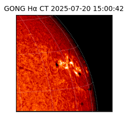 gong - 2025-07-20T15:00:42