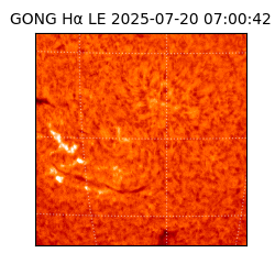gong - 2025-07-20T07:00:42