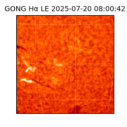 gong - 2025-07-20T08:00:42