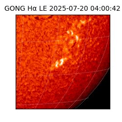gong - 2025-07-20T04:00:42