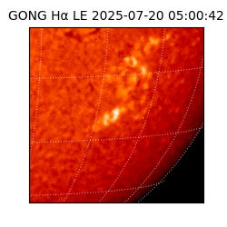 gong - 2025-07-20T05:00:42