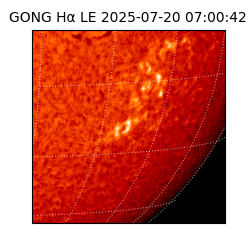 gong - 2025-07-20T07:00:42