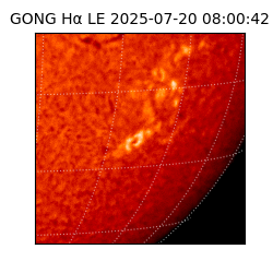 gong - 2025-07-20T08:00:42