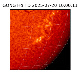 gong - 2025-07-20T10:00:11