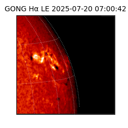gong - 2025-07-20T07:00:42