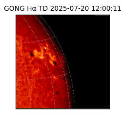 gong - 2025-07-20T12:00:11
