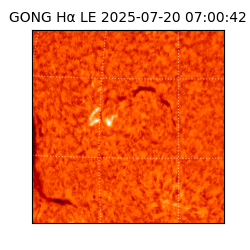 gong - 2025-07-20T07:00:42