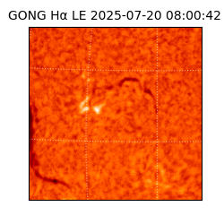 gong - 2025-07-20T08:00:42