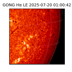 gong - 2025-07-20T01:00:42