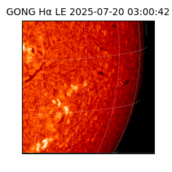 gong - 2025-07-20T03:00:42