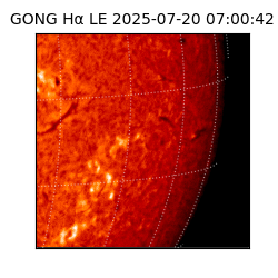 gong - 2025-07-20T07:00:42