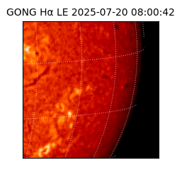 gong - 2025-07-20T08:00:42