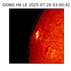 gong - 2025-07-20T03:00:42
