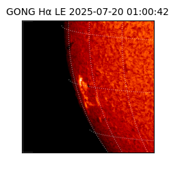 gong - 2025-07-20T01:00:42